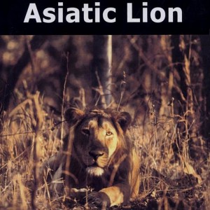 Gir Forest and the Saga of the Asiatic Lion By Sudipta Mitra