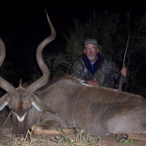 50.5 inch Cape Kudu
