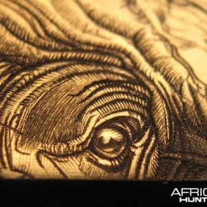 Cape Buffalo Engraving on Double Rifle