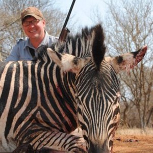 Zebra South Africa