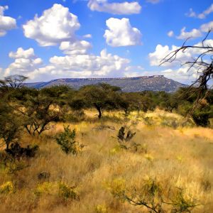 Mt. Etjo Plateau in Namibia