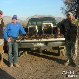 Bird hunting South Africa