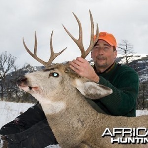 Wyoming mule deer hunt