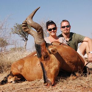 Red Hartebeest hunted in Namibia