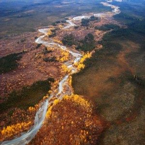 Hunting Moose and Grizzly in Alaska