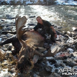 Hunting Moose and Grizzly in Alaska