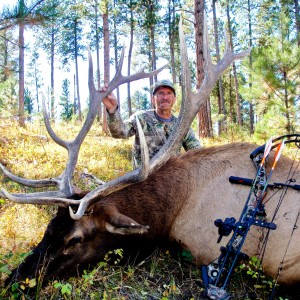 Wyoming Archery Elk