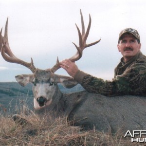 Mule Deer Hunt Alberta Canada