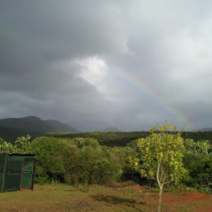 A magnifisant site in the Eastern Cape