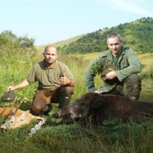 Hunting in Hungary Boar and Roe Deer
