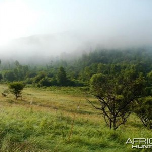 Hunting in Hungary