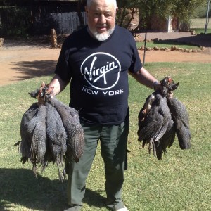 Guineafowl hunting in South Africa