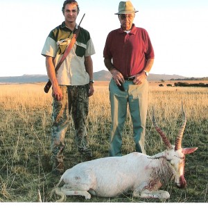 White Blesbuck hunt