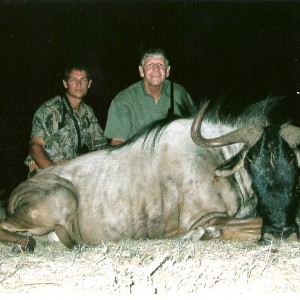 My dad's 29.5 Bluewildebeest