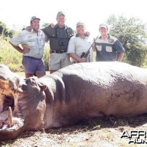 Top 10 Hippo hunt in Zimbabwe