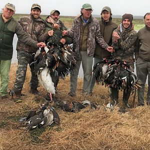 Hunting Duck in Argentina