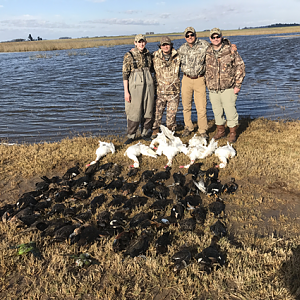 Duck Hunting Argentina