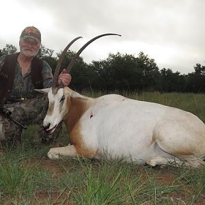 Hunting Scimitar Oryx
