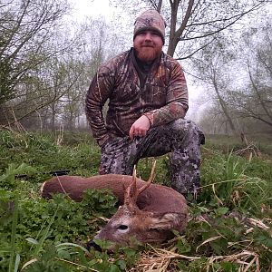 Roe Deer Hunting England