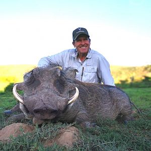 Hunting Warthog in South Africa