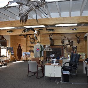 Top of Texas Taxidermy New Showroom and Studio