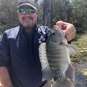 Bream Fishing Zimbabwe