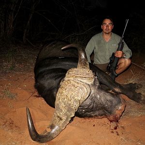 Hunt Cape Buffalo in Namibia