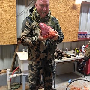 Bison Heart