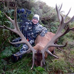 Bow Hunting Red Stag New Zealand
