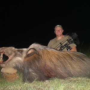 South Africa Bow Hunt Bushpig