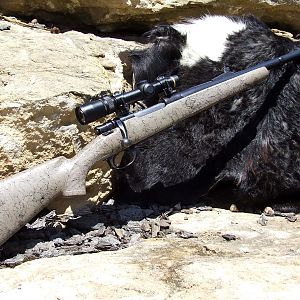 .458 Mk. X Mauser Rifle