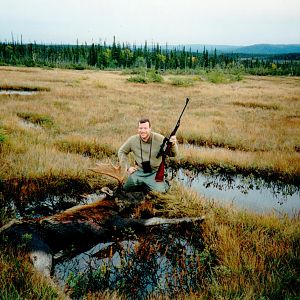 Hunting Moose in Newfoundland Canada