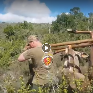 Kudu Hunting South Africa