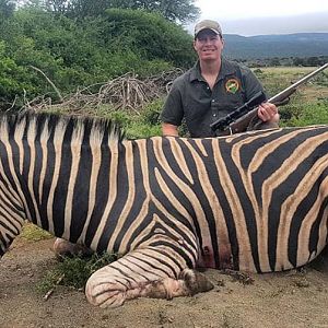 Hunting Burchell's Plain Zebra in South Africa