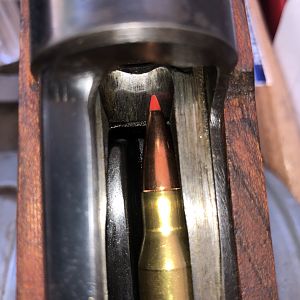 Cartridge in a M48 Mauser Magazine