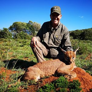 Hunt Caracal in South Africa