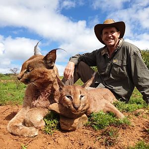 South Africa Hunt Caracal