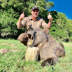 Baboon Hunt South Africa