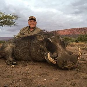 South Africa Hunting Warthog