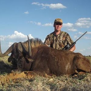 South Africa Hunting Black Wildebeest