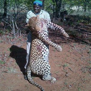 South Africa Hunt Leopard