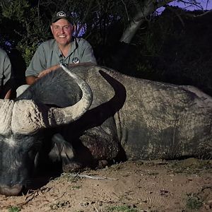 Cape Buffalo Hunt South Africa