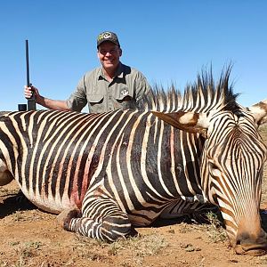 Hartmann's Mountain Zebra Hunting South Africa