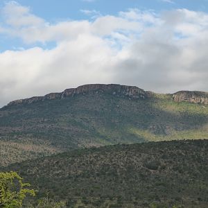 Hunting Area South Africa