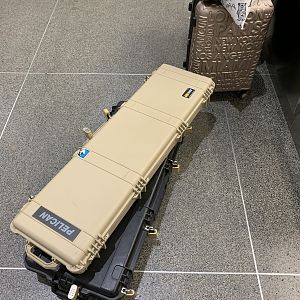 Bow & Double Rifle Case