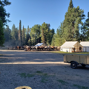 Wyoming Archery Elk Hunt 2018