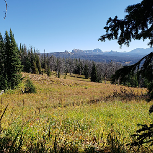 Wyoming Archery Elk Hunt 2018