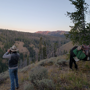 Wyoming Archery Elk Hunt 2018