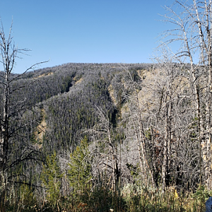 Wyoming Archery Elk Hunt 2018