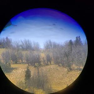 Wyoming Archery Elk Hunt 2018